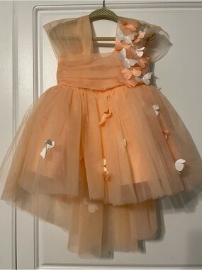 Peach Tulle Flower Applique Party Dress